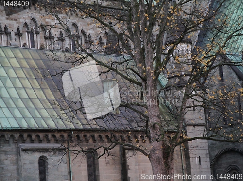 Image of Tree in front of Nidaros cathedral