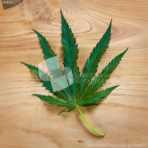 Image of marijuana leaf