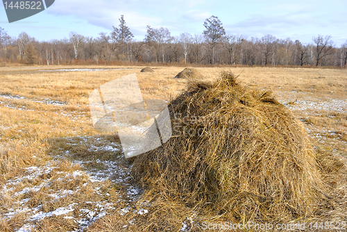 Image of Haystack