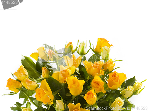 Image of yellow roses