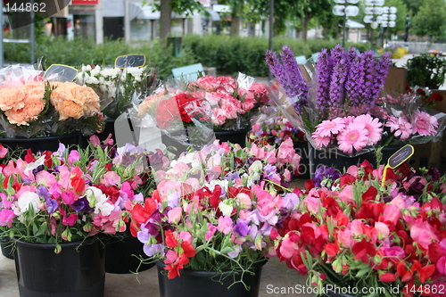 Image of Market day