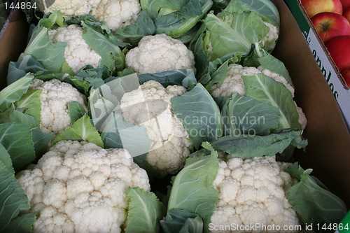 Image of Cauliflowers