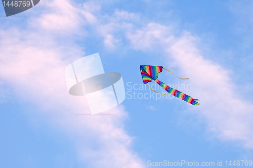 Image of striped kite