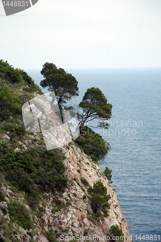 Image of Pictorial blue Adriatic sea with rocks