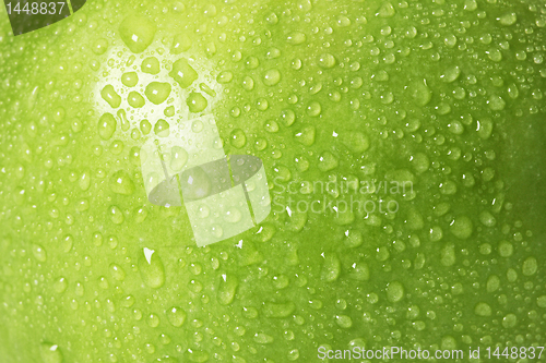 Image of green wet apple macro