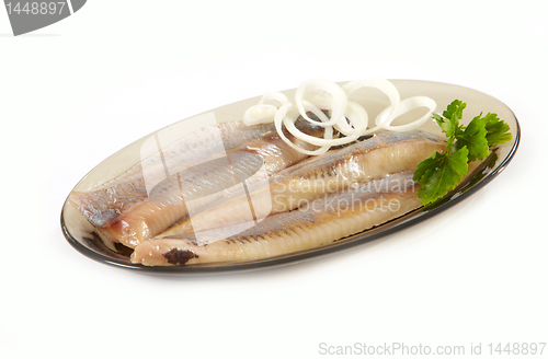 Image of herring