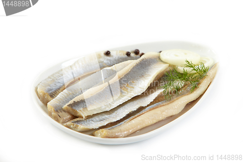 Image of herring