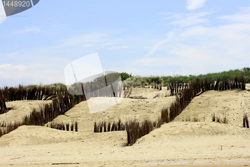 Image of Dunes