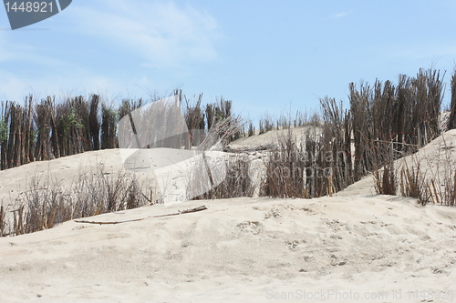 Image of Dunes