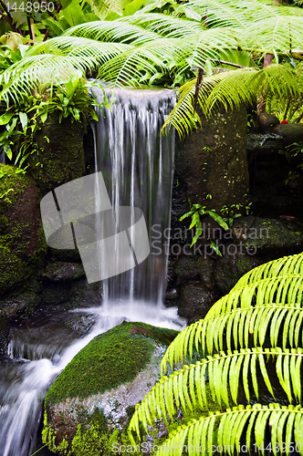 Image of Waterfall