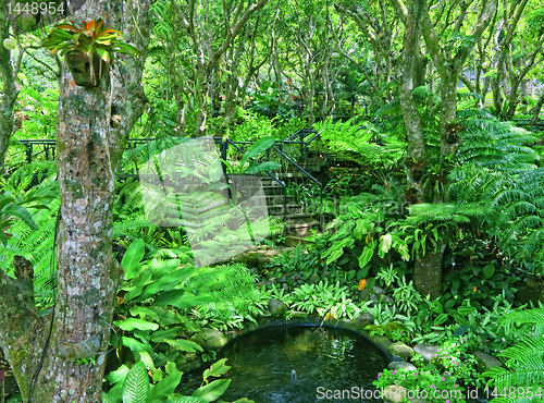 Image of Trees