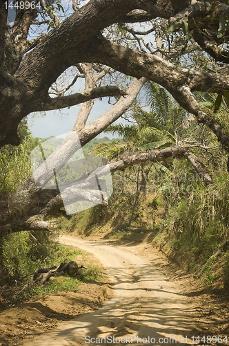 Image of Dirt Road