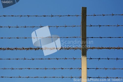 Image of barbed wires