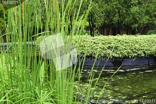 Image of Garden