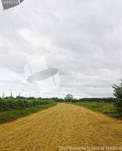 Image of Dusty Road