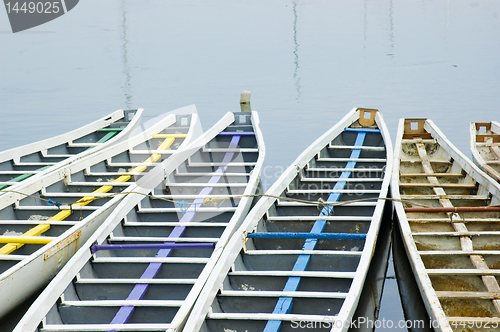 Image of Dragon Boats