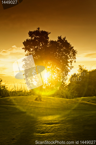 Image of Sunset