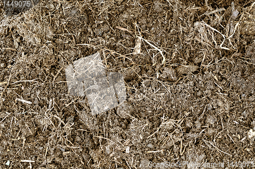 Image of Soil Texture