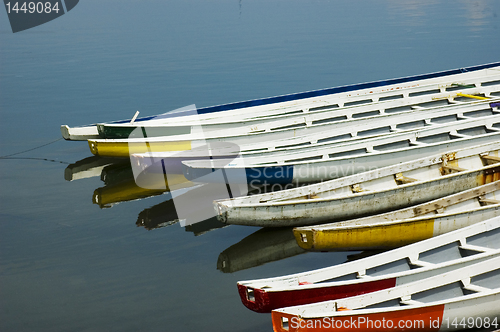 Image of Dragon Boats