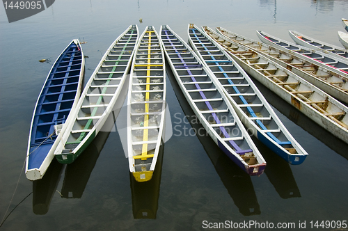 Image of Dragon Boats