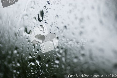 Image of Rain Drops