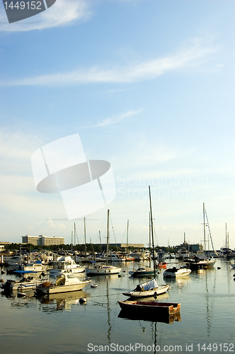 Image of Sailboats