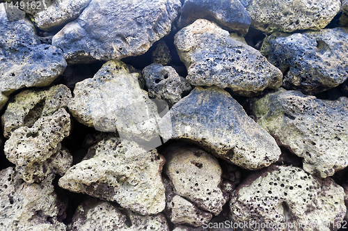 Image of Corals Texture