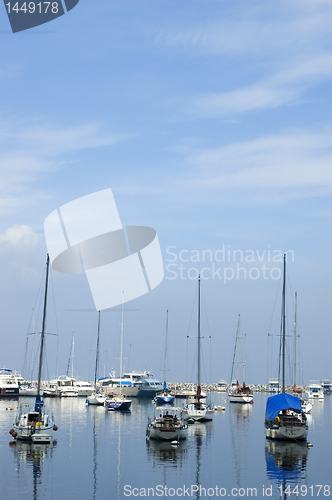 Image of Sailboats