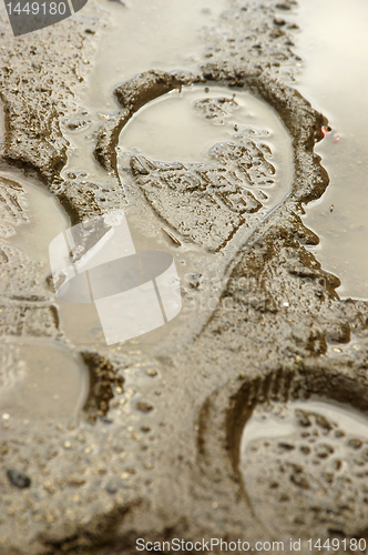 Image of Puddle