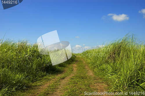 Image of Dirt Road