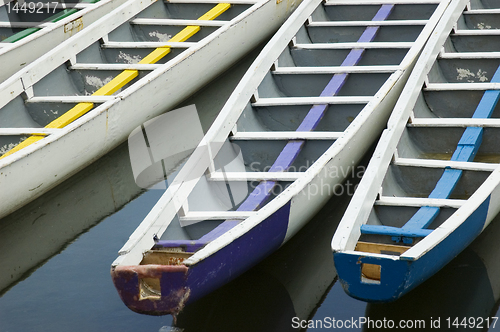 Image of Dragon Boats