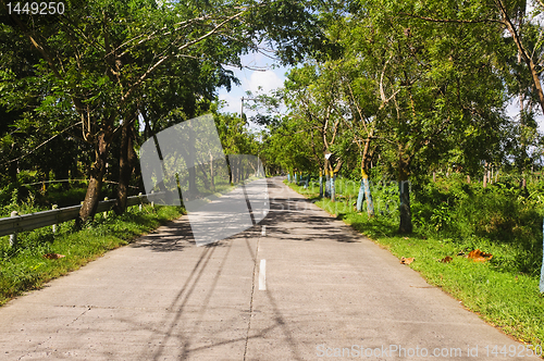 Image of Road