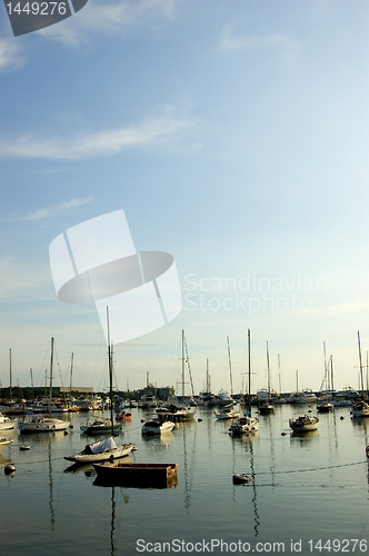 Image of Sailboats