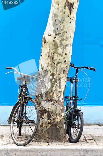 Image of Chinese Bicycle
