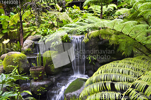 Image of Waterfall