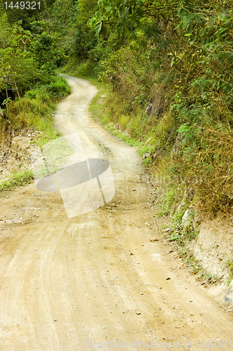 Image of Winding Road