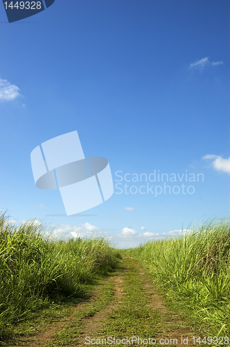 Image of Clouds_Grass