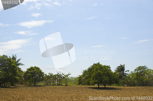 Image of Newly tilled soil