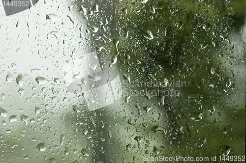 Image of Rain Drops