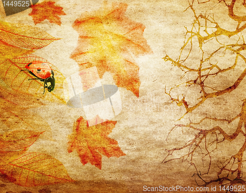 Image of grunge abstract fall background