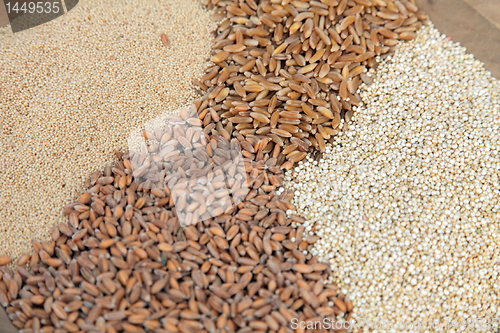 Image of Background of different kinds of grains close up