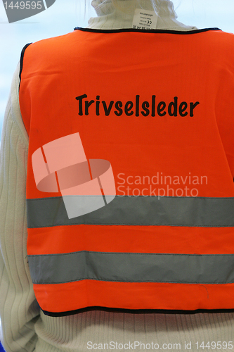 Image of Trivselsleder