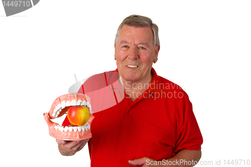 Image of Male senior with teeth modell