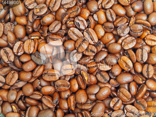 Image of grain coffee