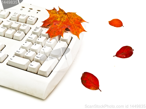 Image of autumn keyboard 