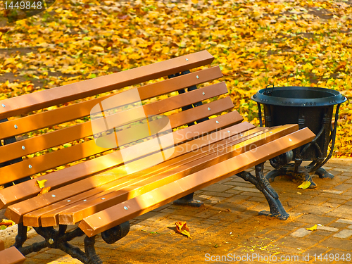 Image of autumn bench