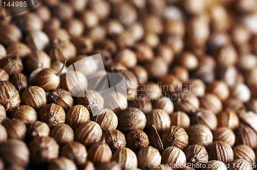 Image of Macro background