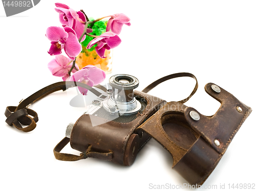 Image of photocamera and pink orchid