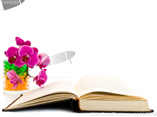 Image of open book and  orchid