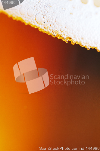 Image of Macro background